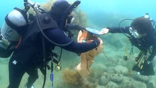 「タツノオトシゴが繁殖する海を守れ」ダイバーが唐津市に集結　海底で清掃活動　そこで見たものは・・・