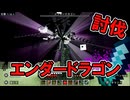 【Minecraft】エンダードラゴンに会いに行くゾの巻part8