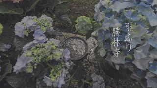 雨ふり勝林寺