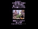 迫真天下布部 天下統一の裏技