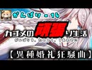 【千年戦争アイギス】カゴメの頑張り生活 - １４【異種婚礼狂騒曲】