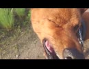 えっくしょん□