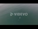 Aerial of surfing along the coast of South Africa