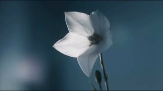 個人的めちゃくちゃな編集による２・５次元動画パート２？