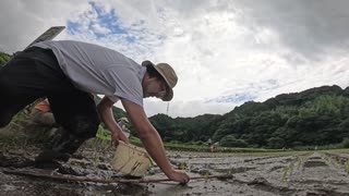 高いと思っていた日本のコメ「今までが安すぎたのかも」　応募が殺到した”棚田オーナー”で消費者が気づいたこと