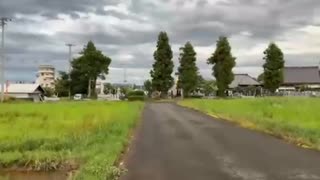 【イートンTS】おさんぽ
