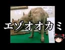 【ゆっくり朗読】ゆっくりさんと絶滅した生物　その33