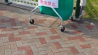 馬場入り