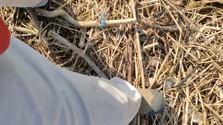 トラックの荷台に海岸清掃で出た木くずゴミが満載に積まれている様子
