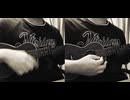 Isn't she lovely ウクレレで弾いてみた