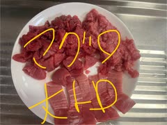 国産　マグロ　刺身　トロ　赤身　スジ　焼き