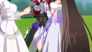 【ウマ娘】チャンピオンズミーティングCLASSIC グレード B 決勝 東京 ダイナミックカメラ