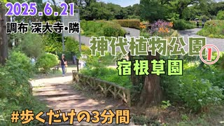 神代植物公園を歩いてみた①中央のベンチ帯~あじさい見ながら宿根草園へ