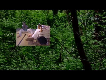 森の神の逆鱗に触れた空手部