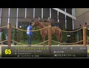 【2025 北海道トレーニングセール】上場番号61～90