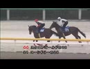【2025 千葉サラブレッドセール】 公開調教第4組