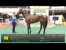 【2025 千葉サラブレッドセール】 上場番号41～53(最終)