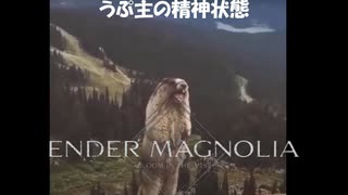 エンダーマグノリアブルームインザミストpart17【ゆっくり実況】