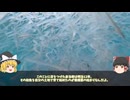【ゆっくり解説】静岡では意外な場所でおでんが食べられる!?静岡旅行の前に必見！ 静岡あるある〖食物編〗