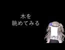 【見るchill】【数理】木を眺めてみる【fs別室Lab】【ミユの部屋/逍遥プログラミング】【聴くchill】