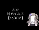 【noBGM】【見るchill】【数理】木を眺めてみる【fs別室Lab】【ミユの部屋/逍遥プログラミング】【聴くchill】