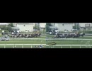古馬2勝クラスより速い ブラックチャリス (2歳新馬)