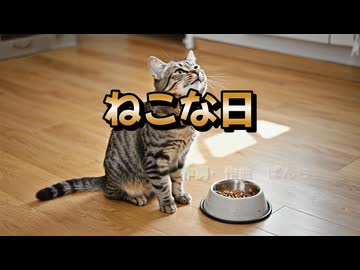 【オリジナルMV】No.12 ねこな日　‐ぱんちょオリジナル