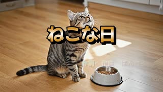 【オリジナルMV】No.12 ねこな日　‐ぱんちょオリジナル