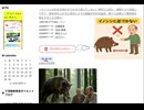 基本は猪に近づかない　突進してきたらまた閉じる