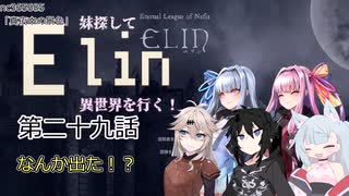 【Elin】妹探して異世界を行く！ 第二十九話