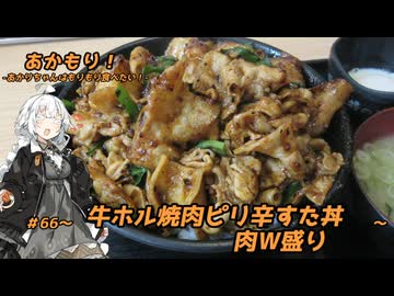 あかもり！#66～牛ホル焼肉ピリ辛すた丼～【伝説のすた丼屋】
