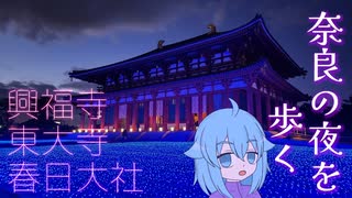 光に彩られる奈良の夜…なら瑠璃絵を楽しもう！