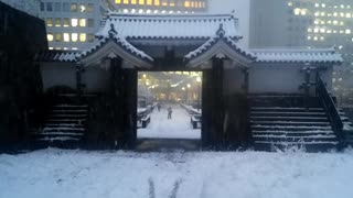 雪の日の旧江戸城址、2022年1月