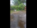 1000011806