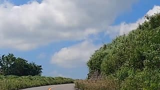 ６週間ぶりのおバイク散歩 #shorts