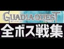 [実況]「ガディアクエスト（NS・DS）」全ボス戦コレクション（スマホ撮影）