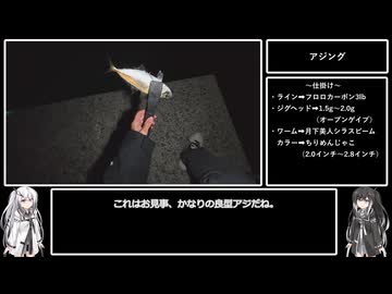 アリミリ姉妹の淡路島海釣り日記Part.29