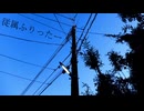 従属ふりったー　歌ってみた【すてぃあ】