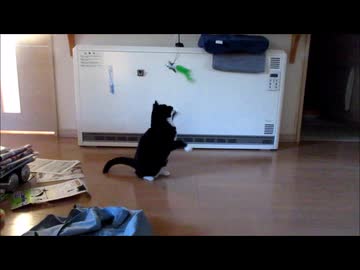 新しいおもちゃ