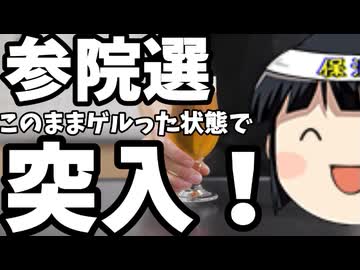 与党、策なしで参院選突入っぽい。