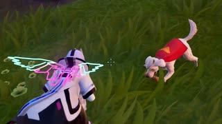 【#フォートナイト】なんだこの犬！？【しゅたぽ日記】