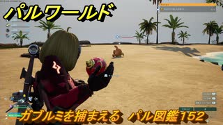 パルワールド　ガブルミを捕まえる　パル図鑑１５２　＃４５４　【Palworld】