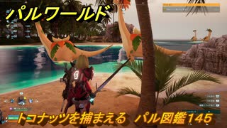 パルワールド　トコナッツを捕まえる　パル図鑑１４５　＃４５８　【Palworld】