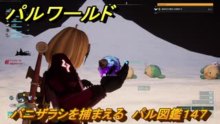 パルワールド　バニザラシを捕まえる　パル図鑑１４７　＃４６１　【Palworld】