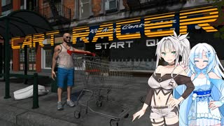 【CART RACER】陸空両用雪カート#01(終)【VOICEVOX実況】