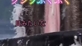 クジラふくふく
