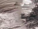 【初音ミク】ハグ【オリジナル】