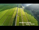 【環境音楽】nostalgia that remains【作業用BGM】 - YouTube
