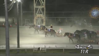2025年6月28日帯広競馬11R オールスター競輪函館開催賞(A2) アアモンドキーマン