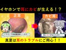 イヤホンが耳に与える健康リスクとは？【ずんだもん解説】